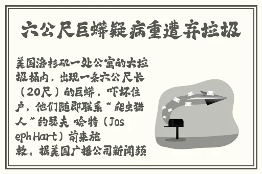 51下载中心